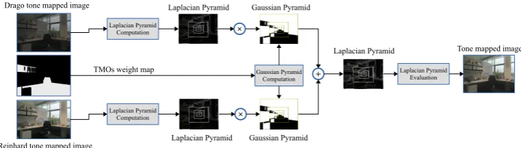 Figure 7: Graphical representation of the fusion step of our Framework. Theoriginal image is copyright of Ahmet O˘guz Aky¨uz.