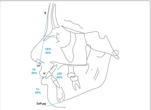 Figure 9 Soft tissue proportions ad modum Isaacson [5].