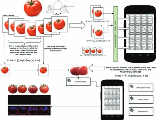 Figure 1  Construction of the homography and processing of created image 