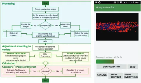 Figure 2  Flow diagram of the algorithm and App snapshot 
