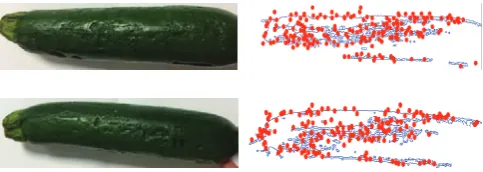 Figure 5  Tests on the first sample with partial analysis of images 