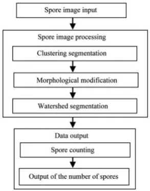 Figure 1  Main structural diagram of the automatic counting 