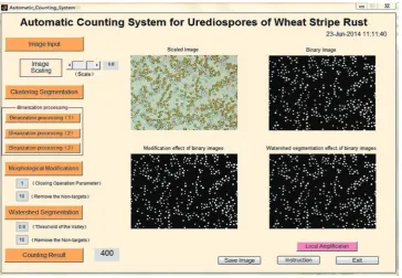 Figure 6  Output of counting result obtained using the automatic counting system 