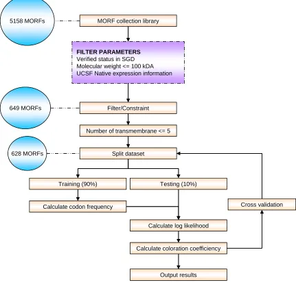 Figure 4 – Research methodology. In order to obtain a clean data, the MORF were preprocessed based on its molecular weight, number of transmembrane and its expression status