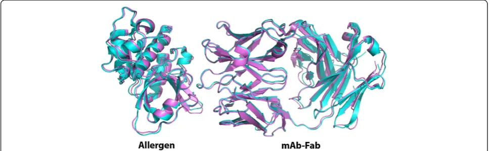 Figure 1 Overlap of the X-ray crystal structures of natural Der p 1 in complex with an Fab of the mAb 4C1 (cyan) with the X-ray crystalstructure of Der f 1 in complex with the same antibody fragment (violet)