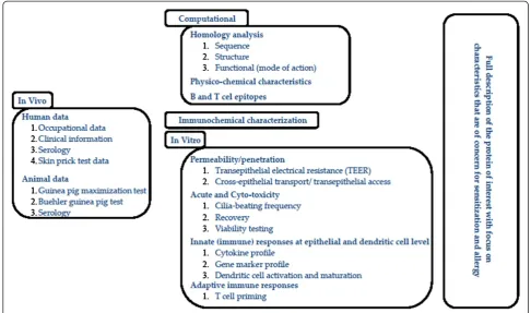 Figure 2 Testing strategy for determining the lung sensitizing capacity and relative potency of proteins.
