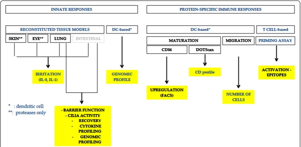 Figure 3 Testing strategy for determining the lung sensitizing capacity and relative potency of proteins.