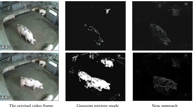 Figure 1  Pig detection 