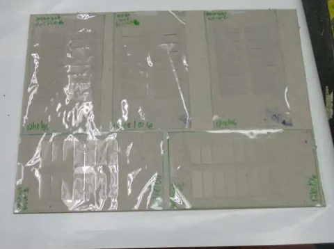 Figure 4: Heat Set print samples mounted to chip board 