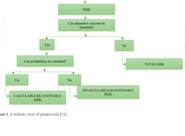 Figure 1. A holistic view of project risk [11].