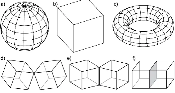 Figure 1. Two-manifolds and non-manifolds: the surface of (a) a sphere; (b) a cube; (c) a torus is a two-manifold; two cubes joined by Figure 1