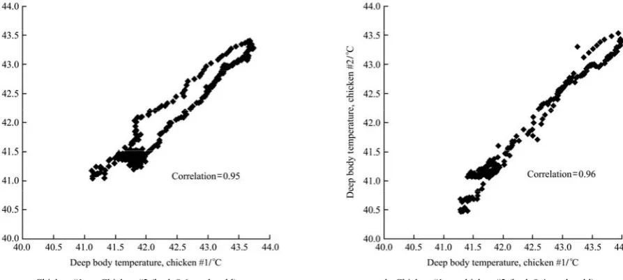 Figure 3  Scatter plots of chickens’ DBT responses 