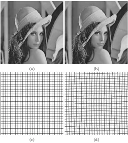 Fig. 7.When applied to images, the distortions introduced by Stir-Mark are almost unnoticeable: ‘Lena’ before (a) and after (b)StirMark with default parameters.For comparison, the samedistortions have been applied to a grid (c & d).