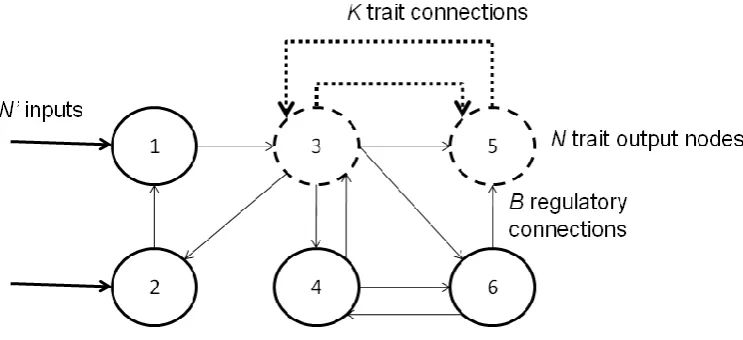 Figure 1: Example RBNK model with an equal number of input and output nodes. Dashed lines and nodes indicate 