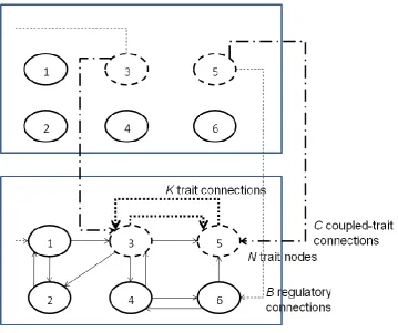 Figure 2: Example RBNKCS model. Connections for only one of the two coupled networks are shown for clarity.