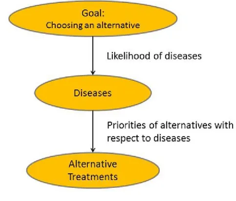Figure 6.5: Linear Network for the Case Study in Medical Diagnosis