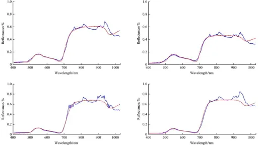 Figure 6  Simulated and actual spectral curves after assimilation by PSO algorithm 