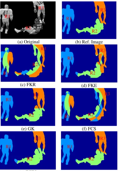 Fig. 6:  (a) Original football image, (b) Manually segmented  reference of (a). Fig. (c) – (h) the segmented results of (a)  using FKR, FKE, GK, FCS, FCES, and FCGS respectively