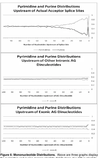 Figure 6: Mononucleotide Distributions. frequency of purines falls in the same window