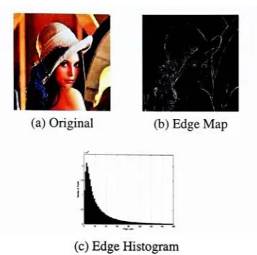 Figure 3.2: Histogram of Edge Values for Lena
