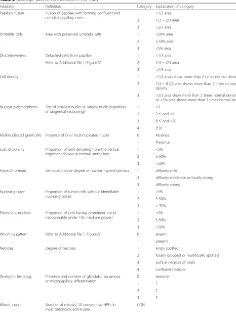 Table 2 Histologic parameters evaluated in this study