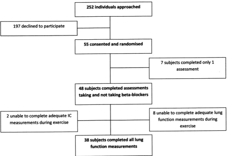 Figure 1Consort diagram describing study flow.