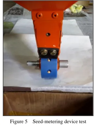 Figure 4  Simulation of seed metering device using the EDEM 