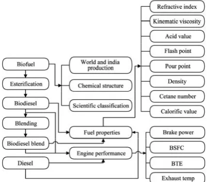 Figure 1  Flow chart to access the data through the developed 