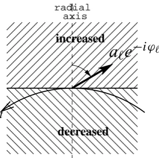 Fig. 2. The perturbed oscillatory regime computed with an idealizednumerical model.