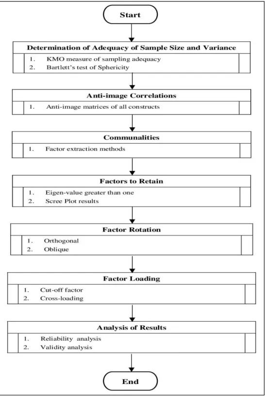 Figure 4.3     EFA Process Flow 