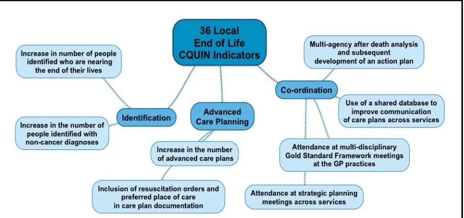 Figure 2: Sub-themes in Local End of Life CQUIN Indicators 