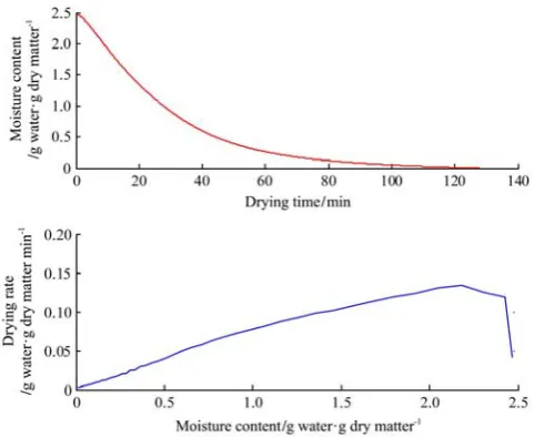 Figure 2  Characteristic drying curves of pork slices at 105°C 