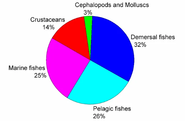 Figure 6. Composition of marine landing in 2005 