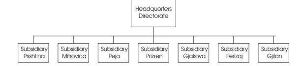 Figure 1: Diagram of the main lacotions of an insurance company in Kosovo Source: Contribution from the authors  