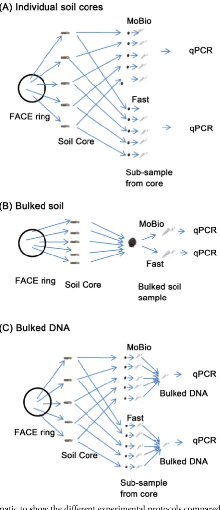 Figure 1. Schematic to show the different experimental protocols compared in this paper