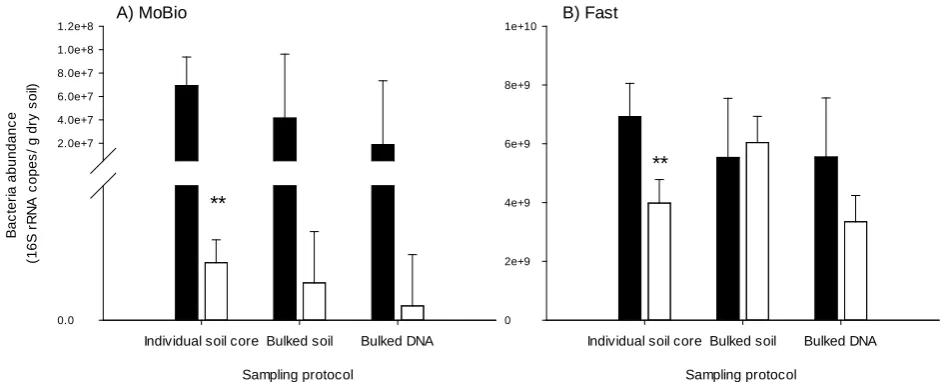 Figure 3. The abundance of bacteria in soil sampled under plants growing at ambient (closed bar) or elevated (open bars) atmos-pheric CO2 measured as copy numbers of the 16S rRNA gene and identified using three experimental protocols and two DNA extraction