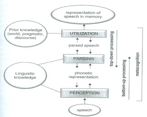 Figure 2.2. Cognitive processes and knowledge sources in listening comprehension. 