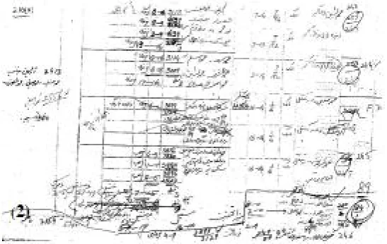 Figure 1: A Land Record Register as maintained by Patwari (Adeel 2010)