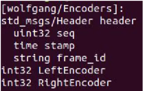 Figure 10: ROS Encoders message 