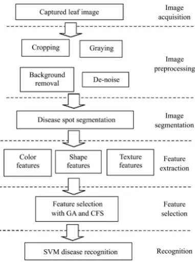 Figure 3  Process of the apple leaf disease recognition 