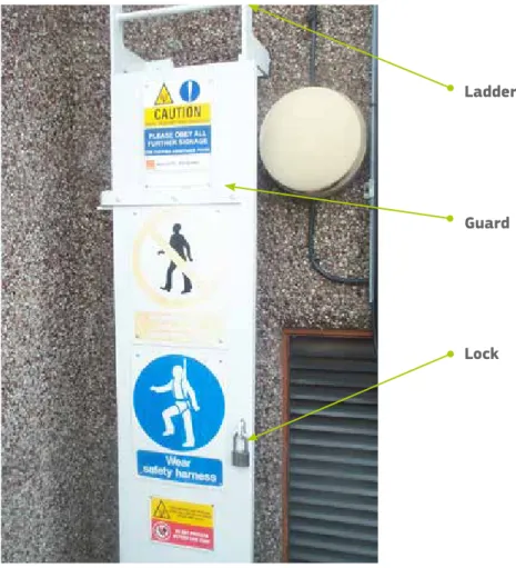 Figure 9.2 — Use of ladder guard to restrict access to strong fields   on a rooftop