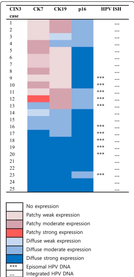 Fig. 3 Expression profile of CK7, CK19, p16, and HR HPV in CIN3