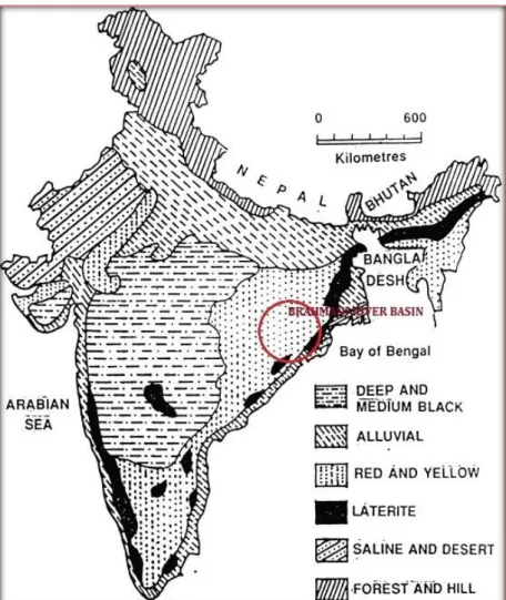 Figure 3.4: Soil Map of India with area around the Brahmani River Basin 