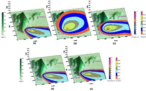 Fig. 7: Ground level concentration estimated by PANEPR for scenarios (a) to (e) at 12:00 hrs