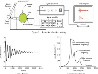 Figure 1  Setup for vibration testing 