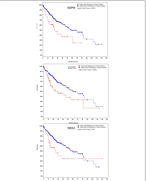 Fig. 5 The association between gene expression level and HCC survival in TCGA database for 10 most significantly dysregulated genes