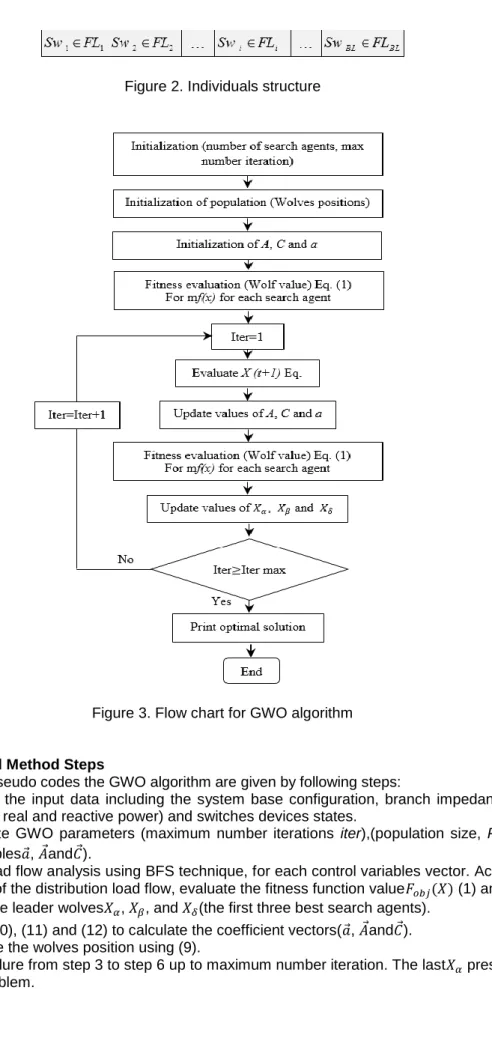 Figure 2. Individuals structure 