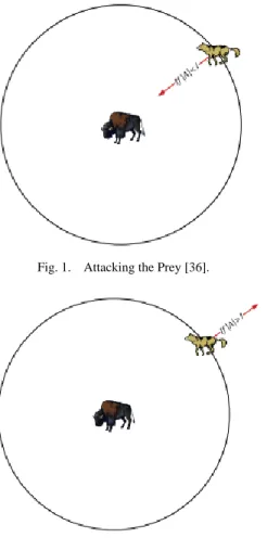 Fig. 1.  Attacking the Prey [36]. 