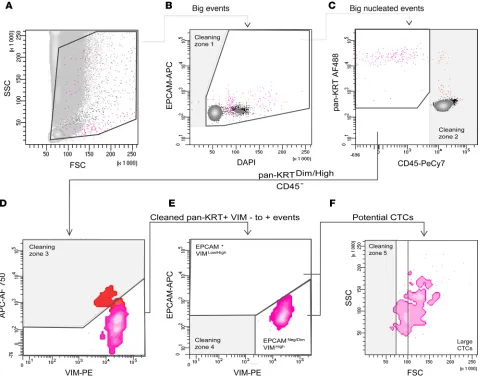 Figure 2. Principle of our gating strategy to select rare cells of epithelial origin from blood