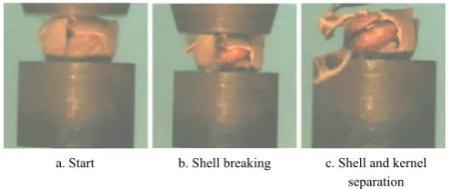 Figure 12  Loading orientation along the 45º slant 